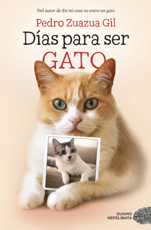 DÍAS PARA SER GATO